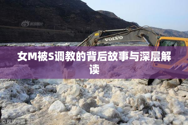 女M被S调教的背后故事与深层解读