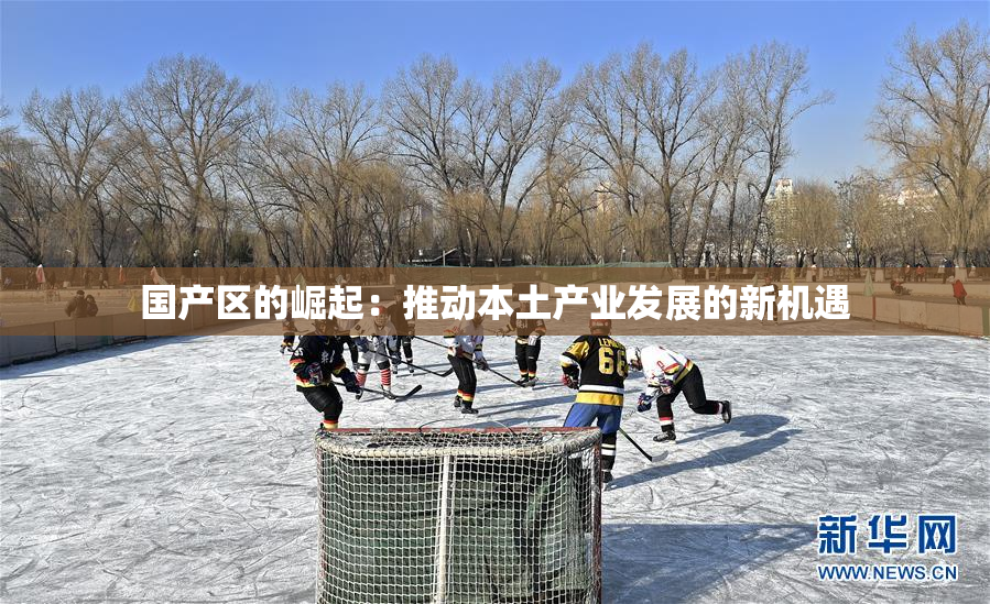 国产区的崛起：推动本土产业发展的新机遇