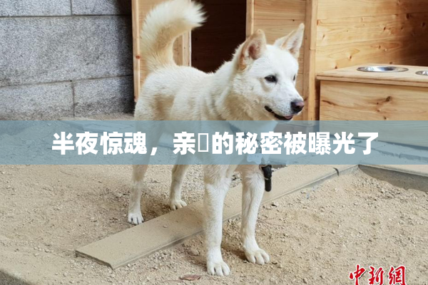 半夜惊魂，亲妺的秘密被曝光了