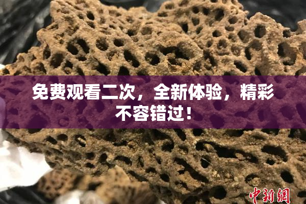 免费观看二次，全新体验，精彩不容错过！