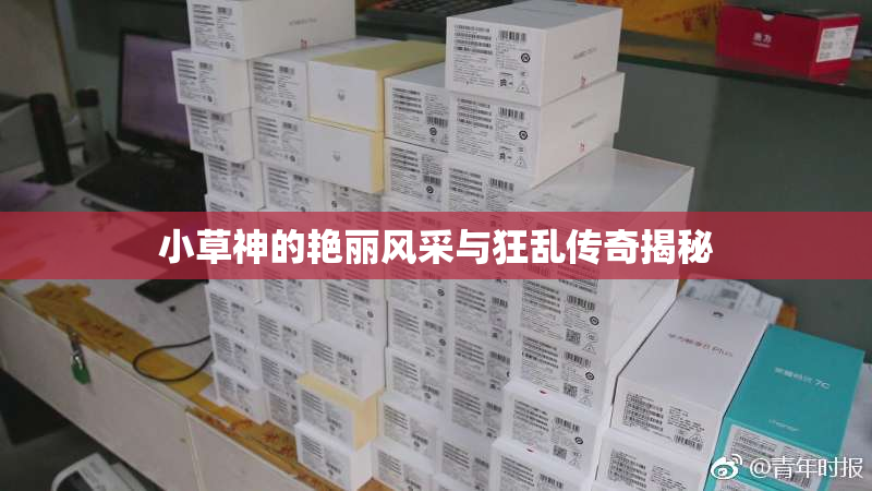 小草神的艳丽风采与狂乱传奇揭秘