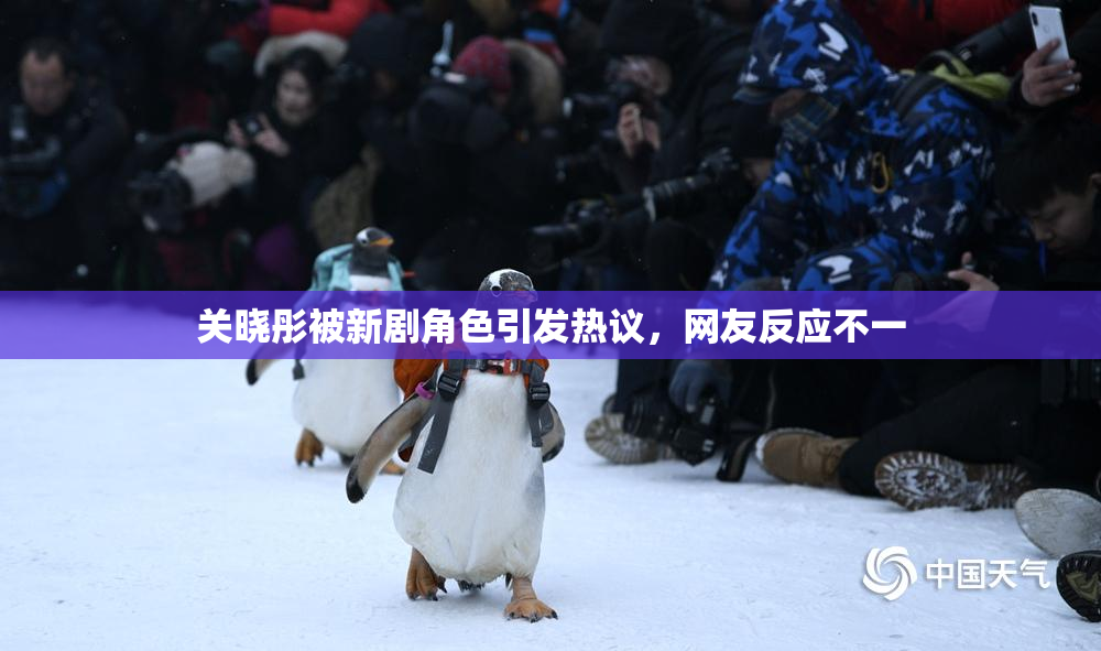 关晓彤被新剧角色引发热议，网友反应不一