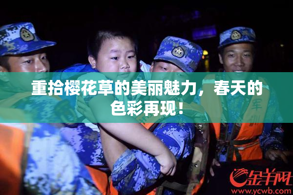 重拾樱花草的美丽魅力，春天的色彩再现！