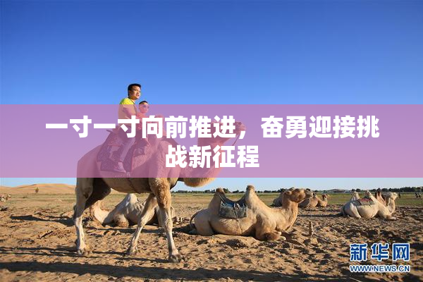 一寸一寸向前推进，奋勇迎接挑战新征程