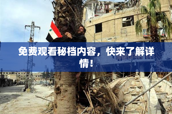 免费观看秘档内容，快来了解详情！