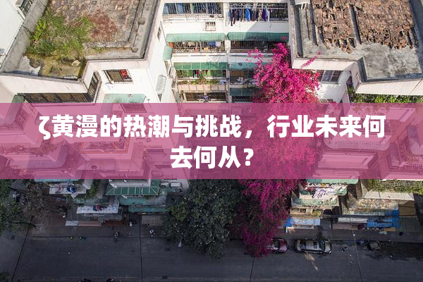 ζ黄漫的热潮与挑战，行业未来何去何从？