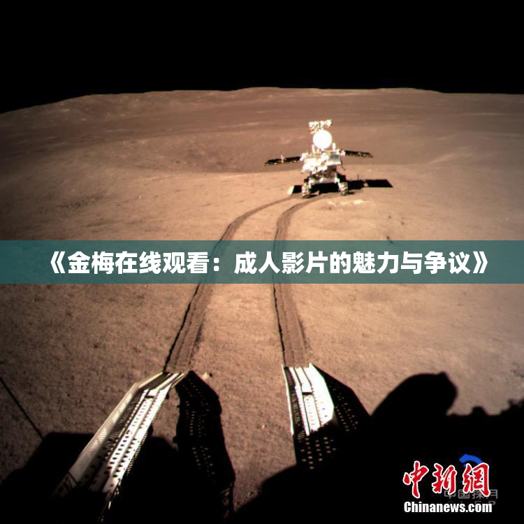 《金梅在线观看：成人影片的魅力与争议》