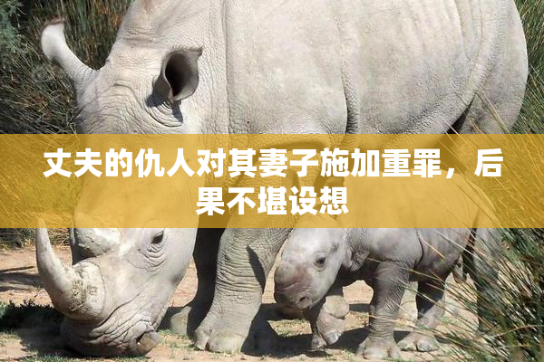 丈夫的仇人对其妻子施加重罪，后果不堪设想