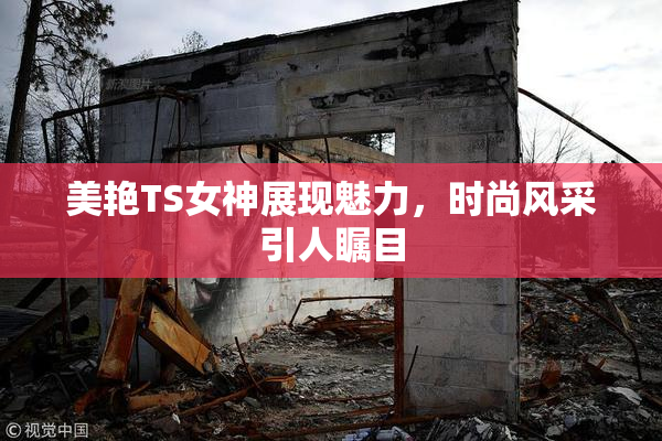 美艳TS女神展现魅力，时尚风采引人瞩目