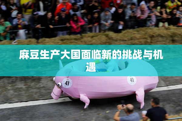 麻豆生产大国面临新的挑战与机遇
