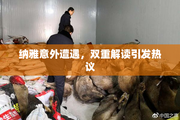 纳雅意外遭遇，双重解读引发热议
