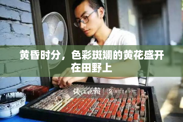 黄昏时分，色彩斑斓的黄花盛开在田野上