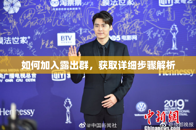 如何加入露出群，获取详细步骤解析