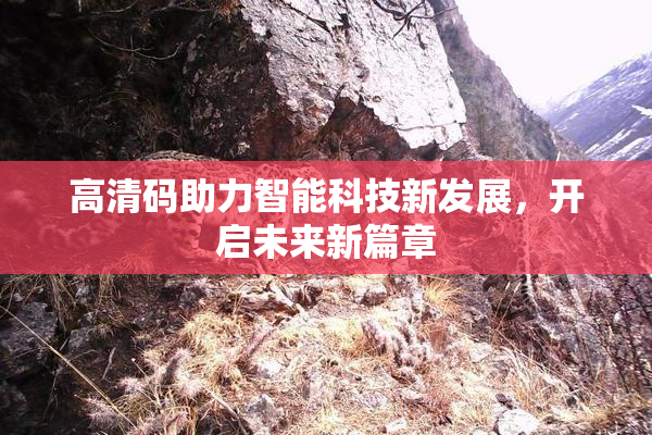 高清码助力智能科技新发展，开启未来新篇章