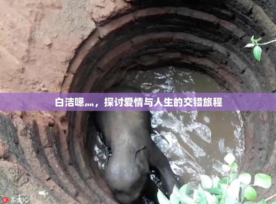 白洁嗯灬，探讨爱情与人生的交错旅程