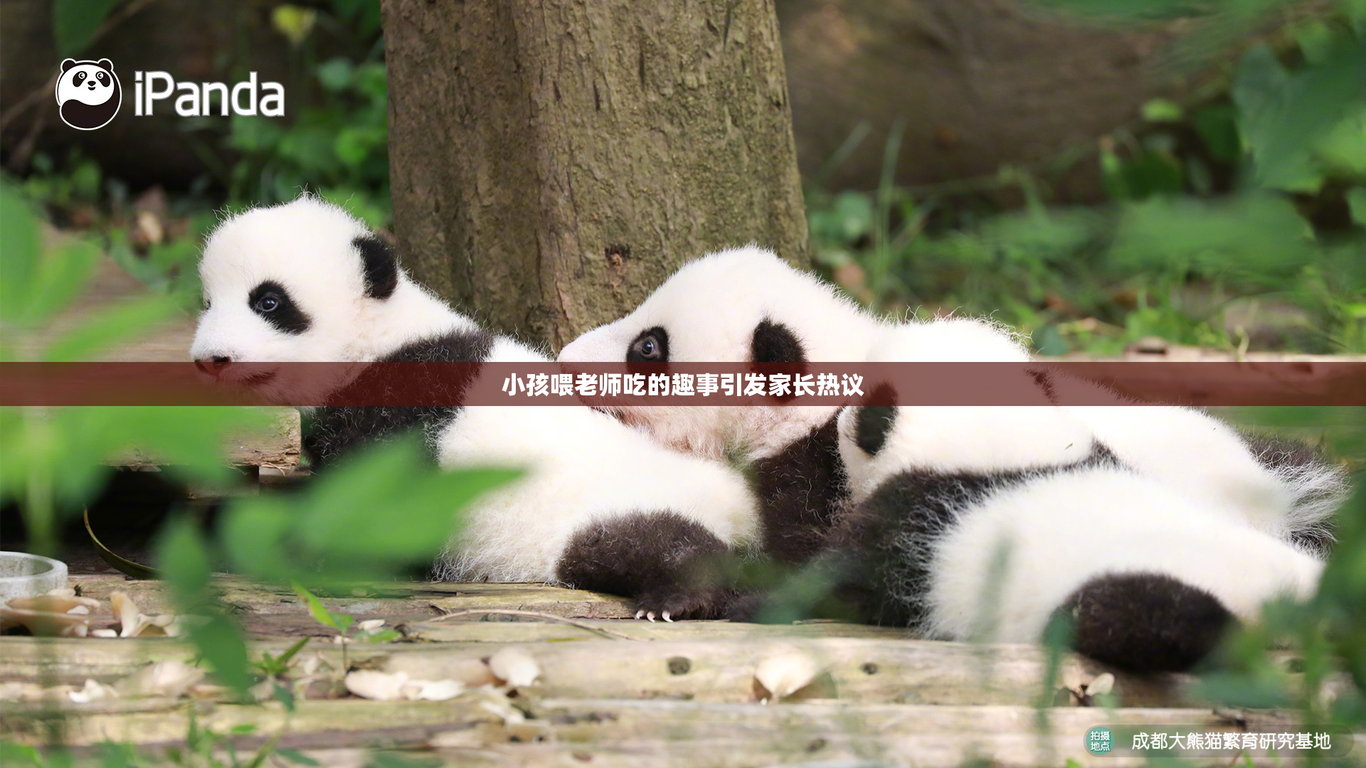 小孩喂老师吃的趣事引发家长热议