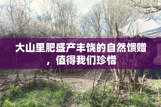 大山里肥盛产丰饶的自然馈赠，值得我们珍惜