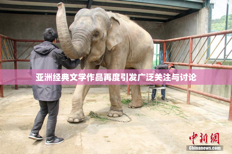 亚洲经典文学作品再度引发广泛关注与讨论