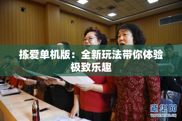拣爱单机版：全新玩法带你体验极致乐趣