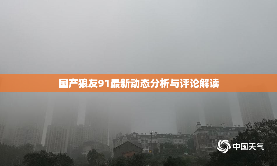 国产狼友91最新动态分析与评论解读
