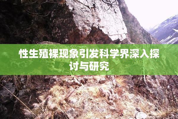 性生殖裸现象引发科学界深入探讨与研究
