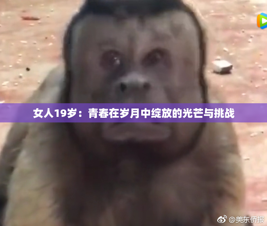 女人19岁：青春在岁月中绽放的光芒与挑战