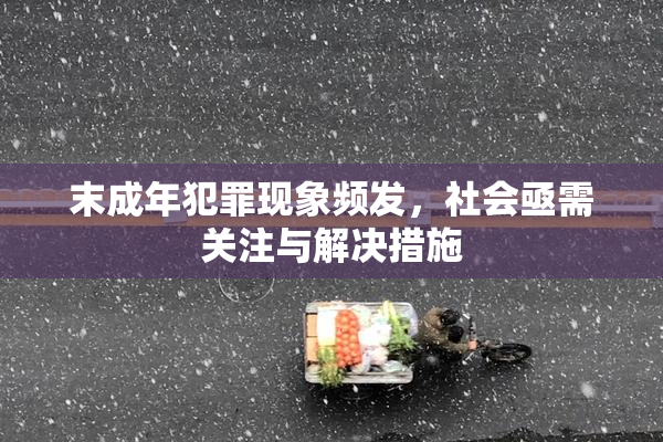 末成年犯罪现象频发，社会亟需关注与解决措施