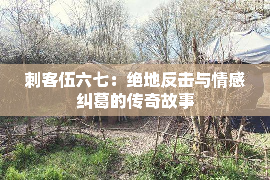 刺客伍六七：绝地反击与情感纠葛的传奇故事