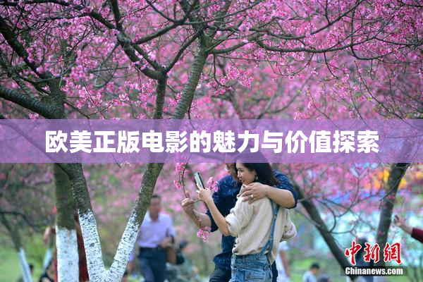 欧美正版电影的魅力与价值探索