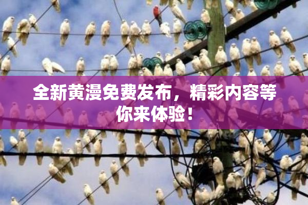 全新黄漫免费发布，精彩内容等你来体验！