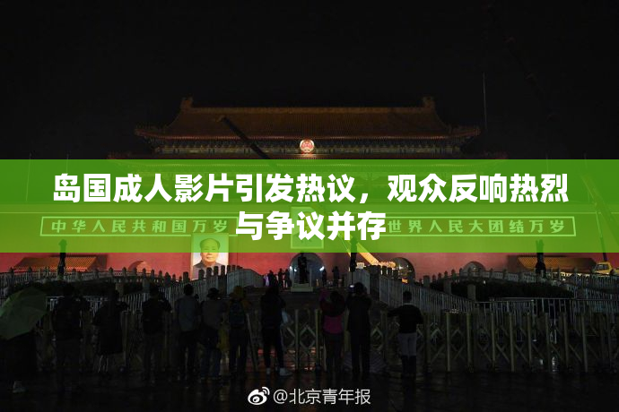 岛国成人影片引发热议，观众反响热烈与争议并存