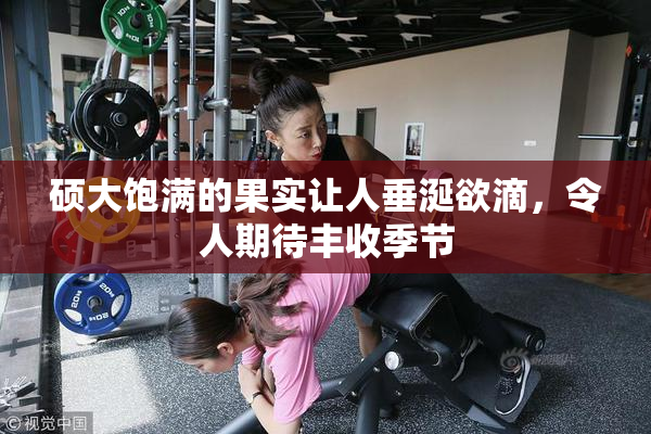 硕大饱满的果实让人垂涎欲滴，令人期待丰收季节