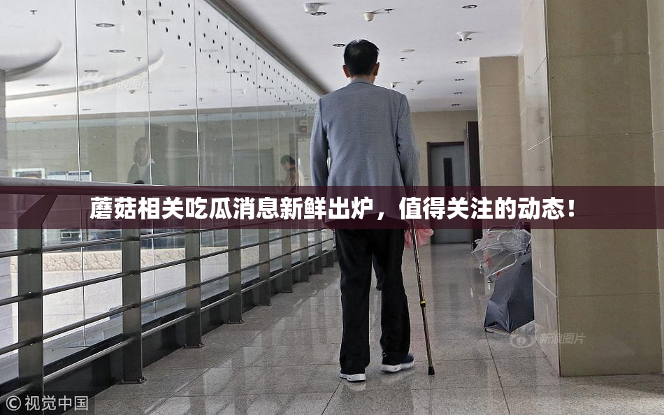 蘑菇相关吃瓜消息新鲜出炉，值得关注的动态！