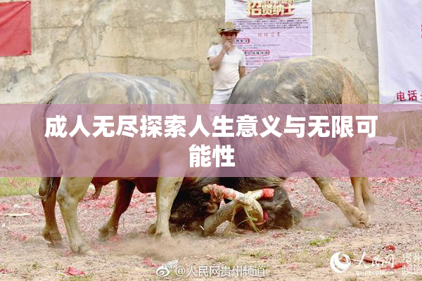 成人无尽探索人生意义与无限可能性