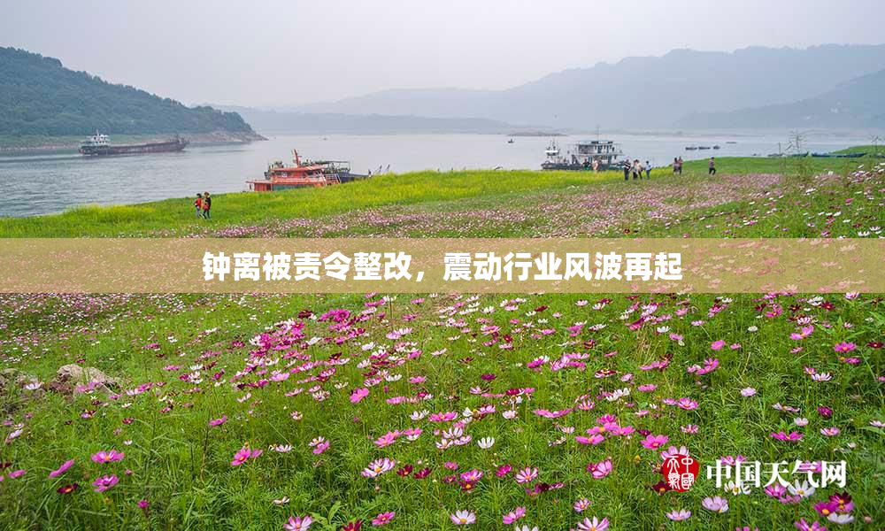 钟离被责令整改，震动行业风波再起
