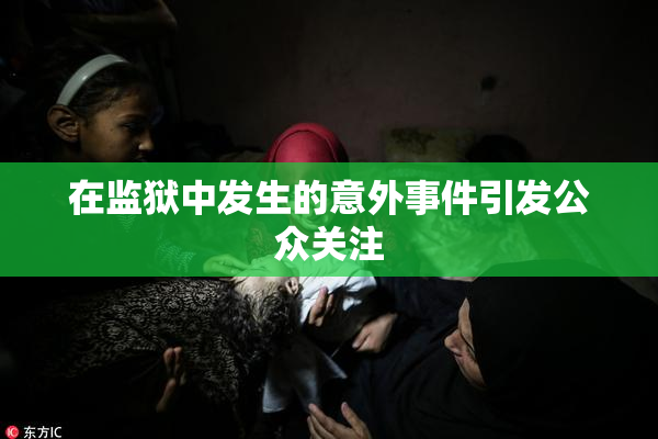 在监狱中发生的意外事件引发公众关注