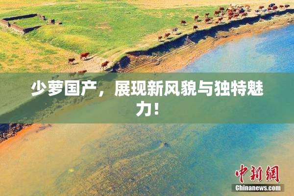 少萝国产，展现新风貌与独特魅力！