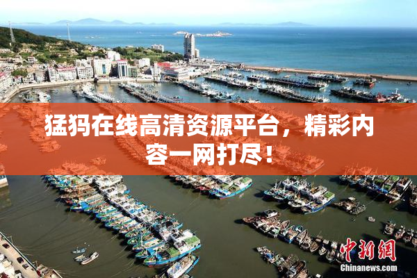 猛犸在线高清资源平台，精彩内容一网打尽！