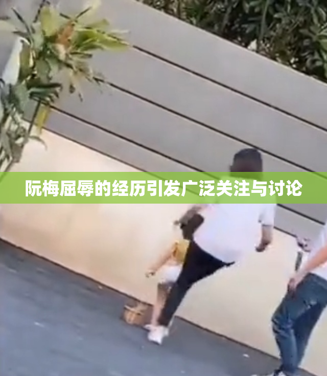阮梅屈辱的经历引发广泛关注与讨论
