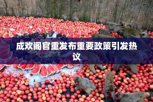 成欢阁官重发布重要政策引发热议