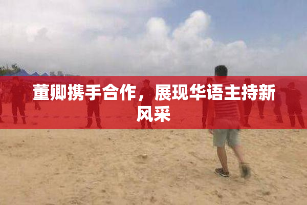 董卿携手合作，展现华语主持新风采
