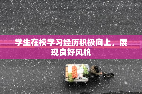 学生在校学习经历积极向上，展现良好风貌