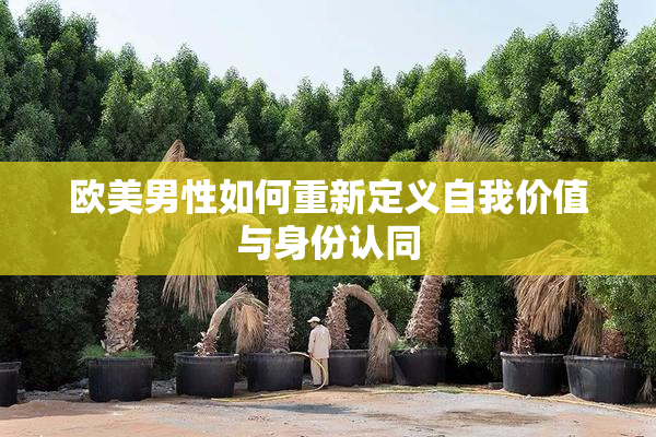 欧美男性如何重新定义自我价值与身份认同