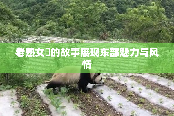老熟女黃的故事展现东部魅力与风情