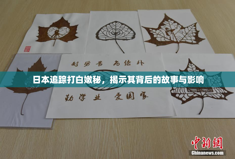 日本追踪打白嫩秘，揭示其背后的故事与影响
