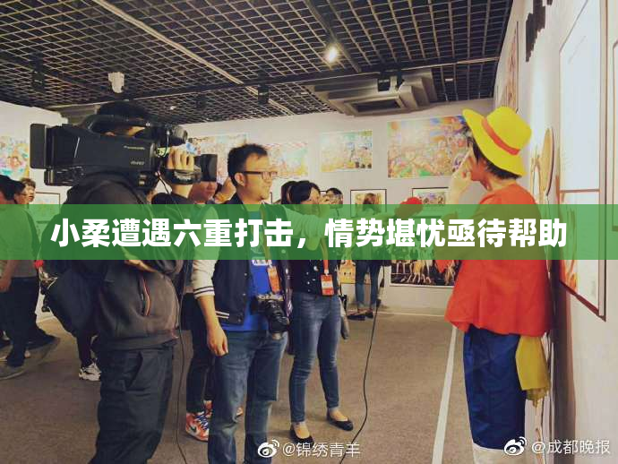 小柔遭遇六重打击，情势堪忧亟待帮助