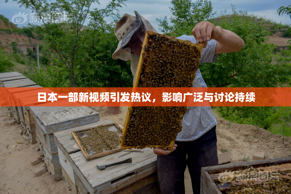 日本一部新视频引发热议，影响广泛与讨论持续