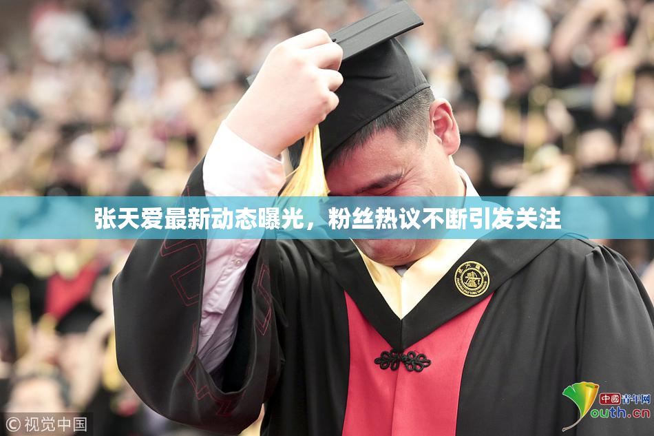 张天爱最新动态曝光，粉丝热议不断引发关注