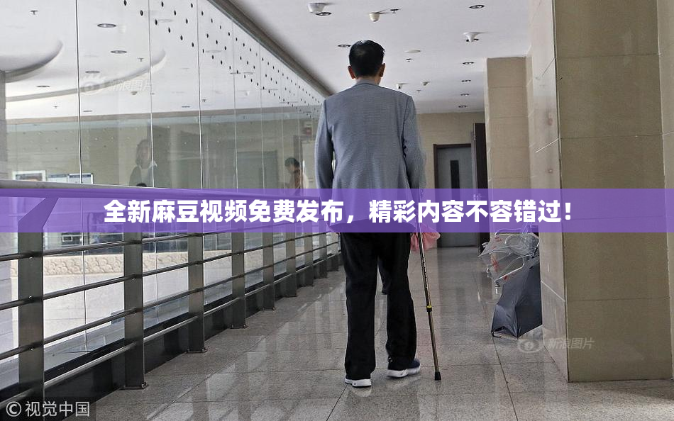全新麻豆视频免费发布，精彩内容不容错过！