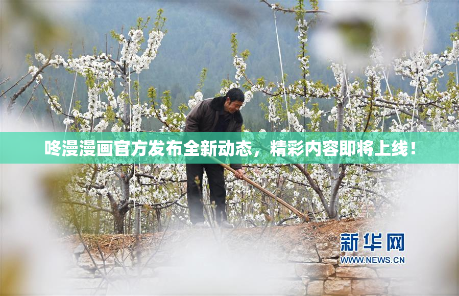 咚漫漫画官方发布全新动态，精彩内容即将上线！